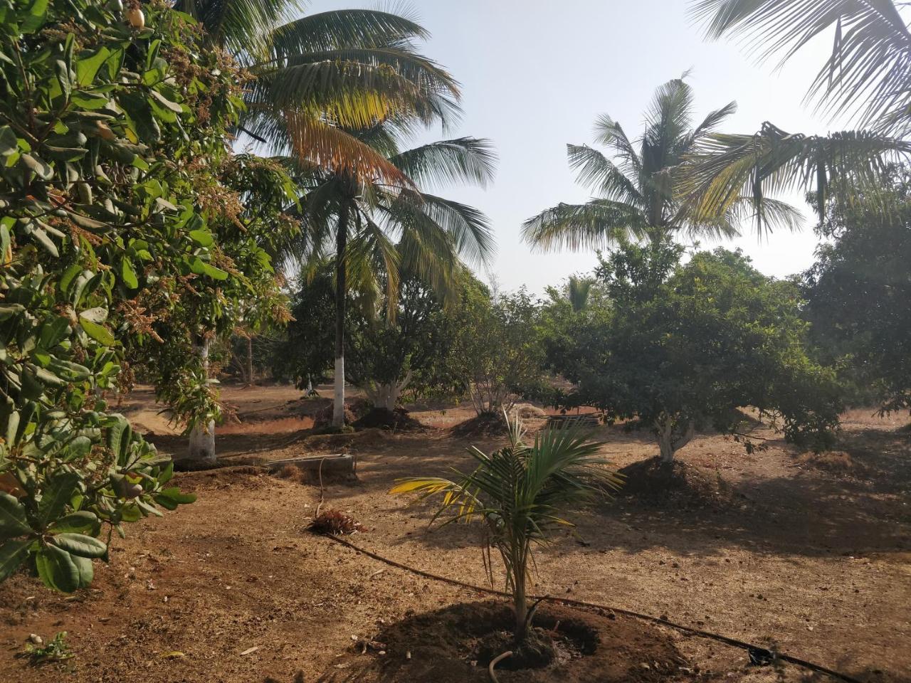 Shree Samarth Farmhouse Murūd Exterior foto